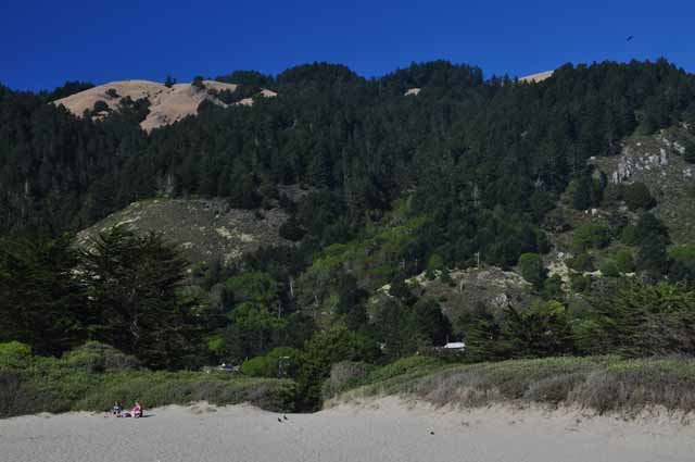 Stinson Beach